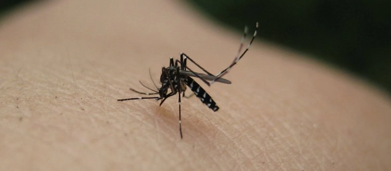 Πέντε νέα κρούσματα του Ιού του Δυτικού Νείλου